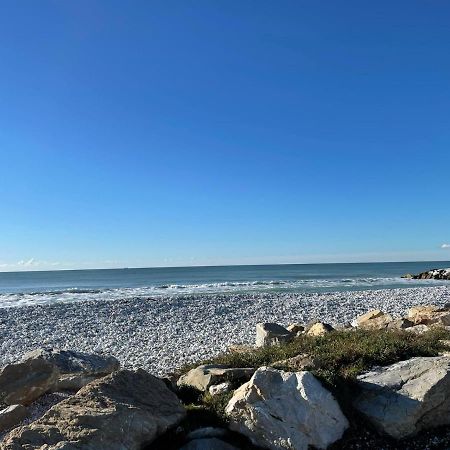 Azzurra House Διαμέρισμα Marina Di Pisa Εξωτερικό φωτογραφία