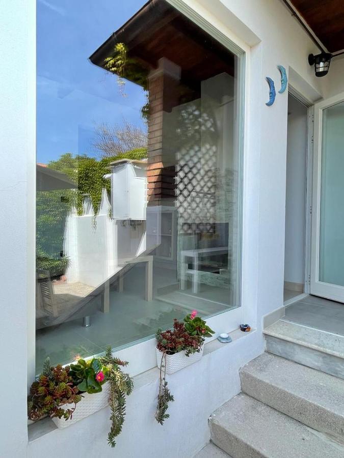 Azzurra House Διαμέρισμα Marina Di Pisa Εξωτερικό φωτογραφία