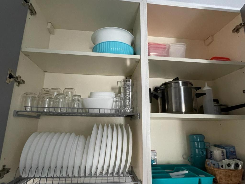 Azzurra House Διαμέρισμα Marina Di Pisa Εξωτερικό φωτογραφία