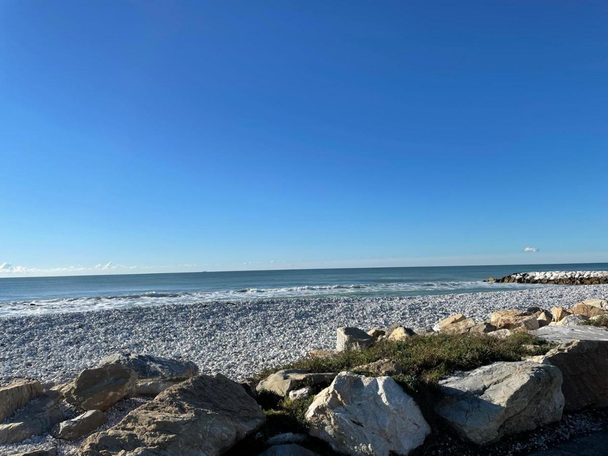 Azzurra House Διαμέρισμα Marina Di Pisa Εξωτερικό φωτογραφία